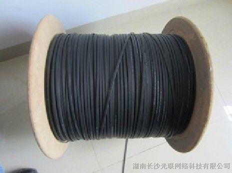 2芯皮线光缆 结构与主要参数解析及供应指南